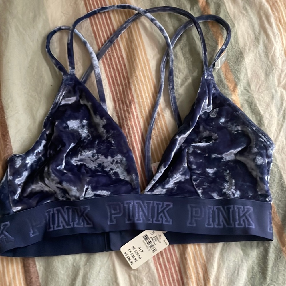 NWT PINK Dusty Blue Velvet Bralette